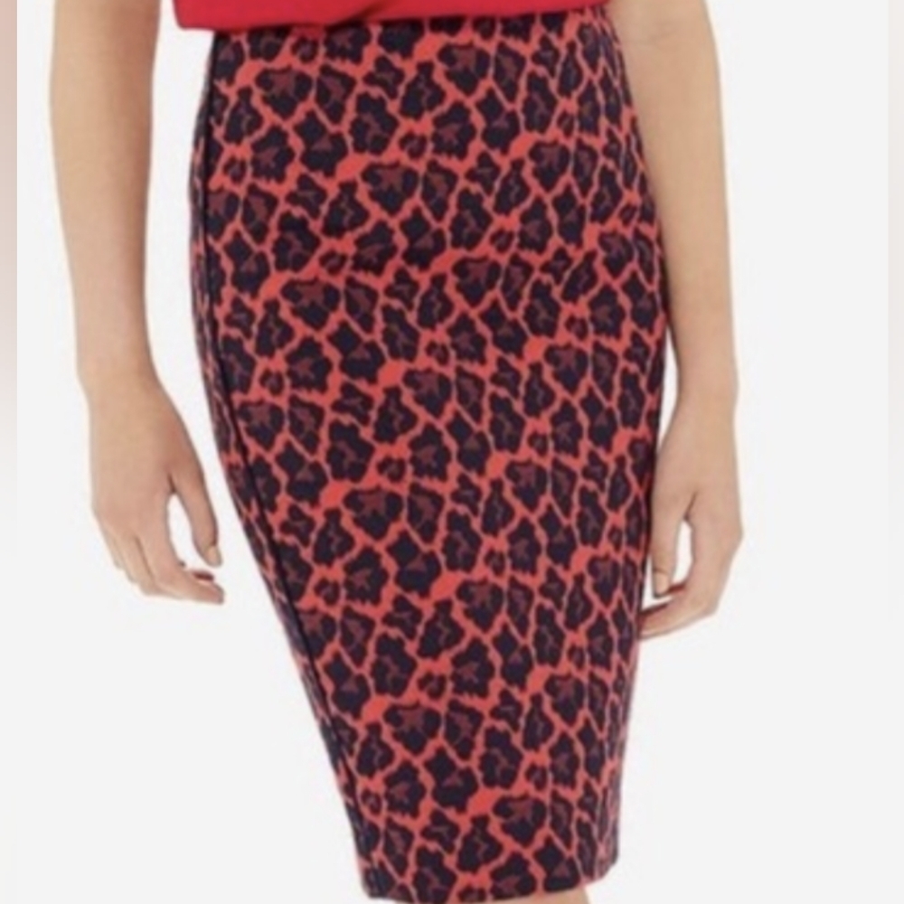 The Limited Size 6 Cheetah skirt